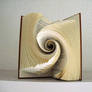 Book vortex