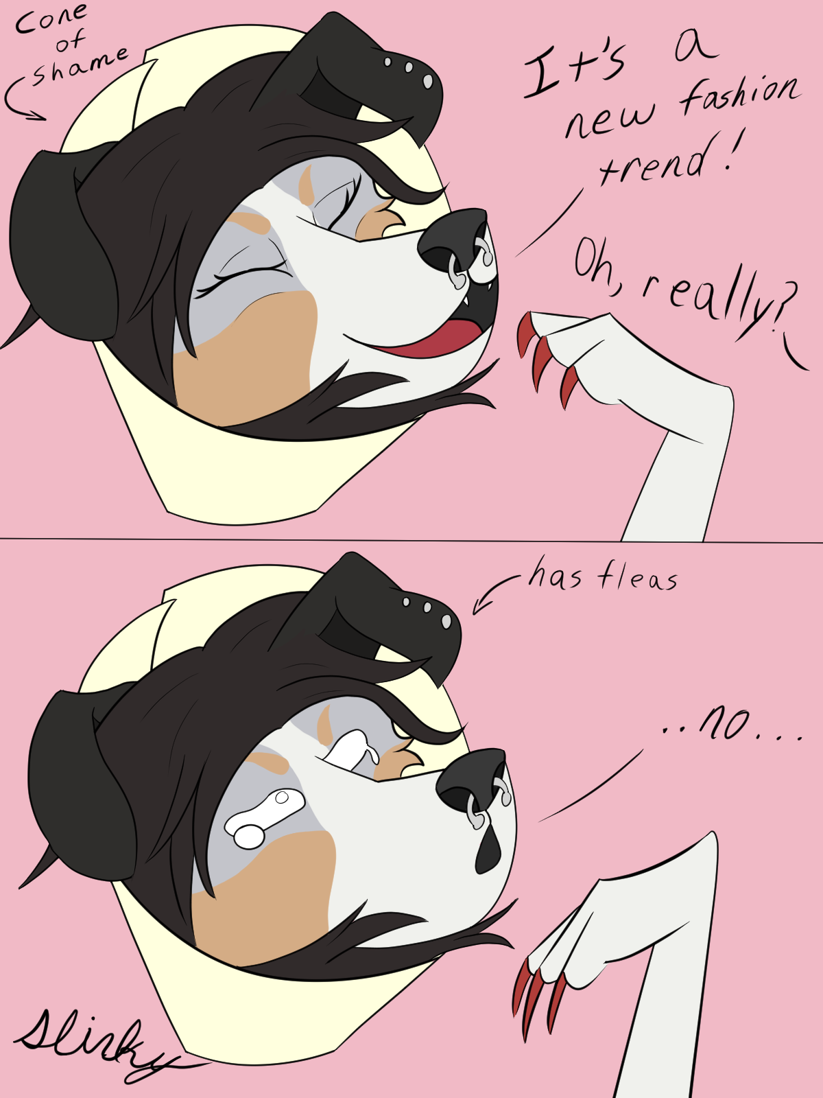 Claire's fashionable Cone