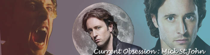 moonlight banner - mick