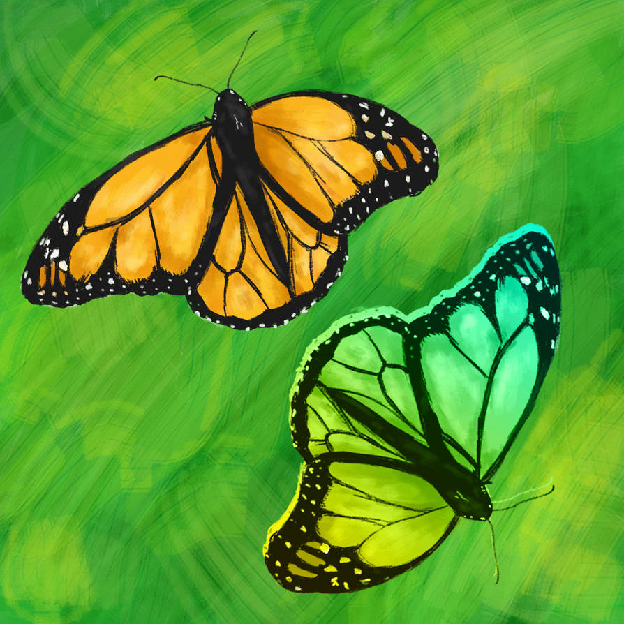 Deviantart Compostfly Butterfly by xSickRaccoonz on DeviantArt
