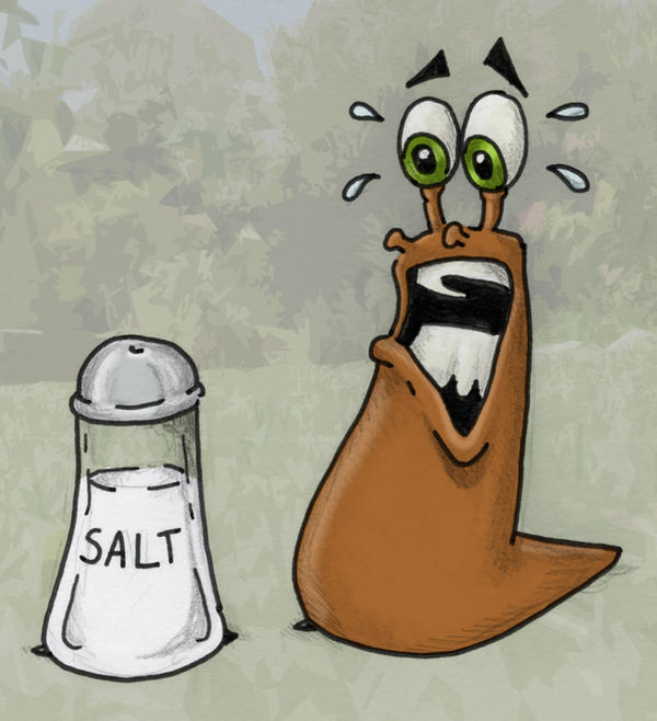 Slug vs Salt by stuartmcghee on DeviantArt Slug vs Salt by stuartmcghee on DeviantArt