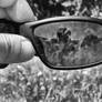 through other lenses