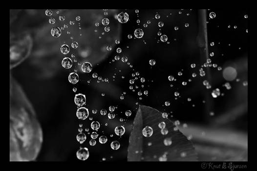 Drops