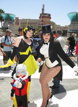 Antman Wasp with Zatanna