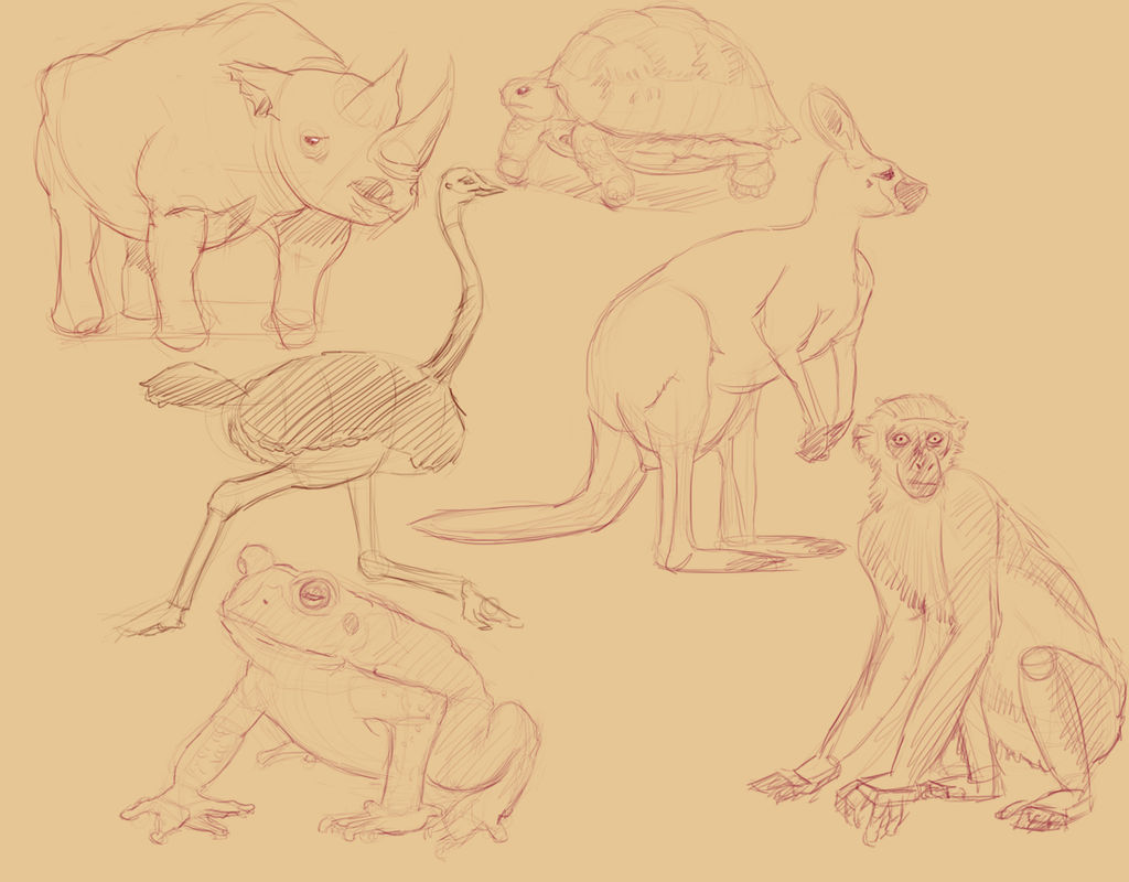 Animal study