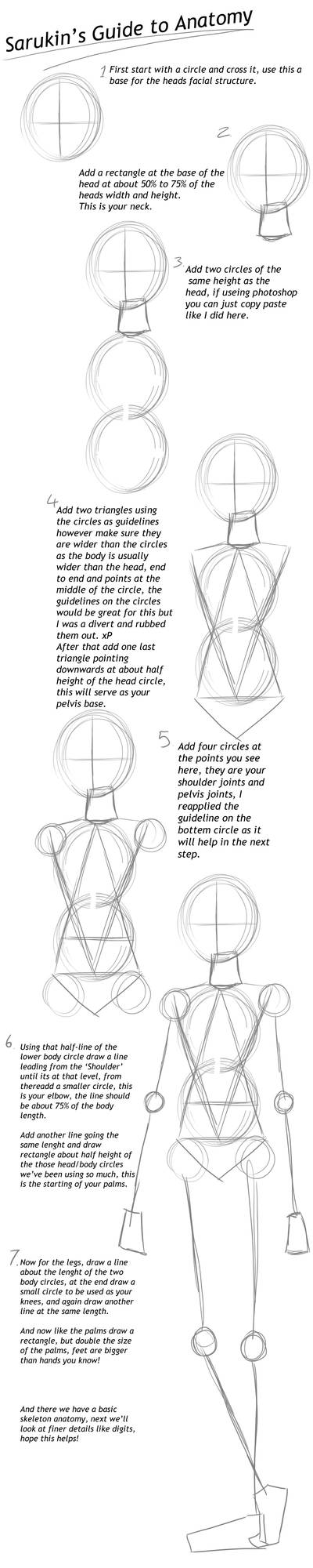 Basic Anatomy Guide by Sarukin on DeviantArt
