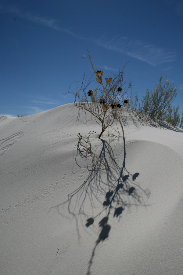 White Sands Monument I