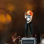 Paramore Wallpaper 4