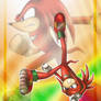 Knuckles - Capoeira