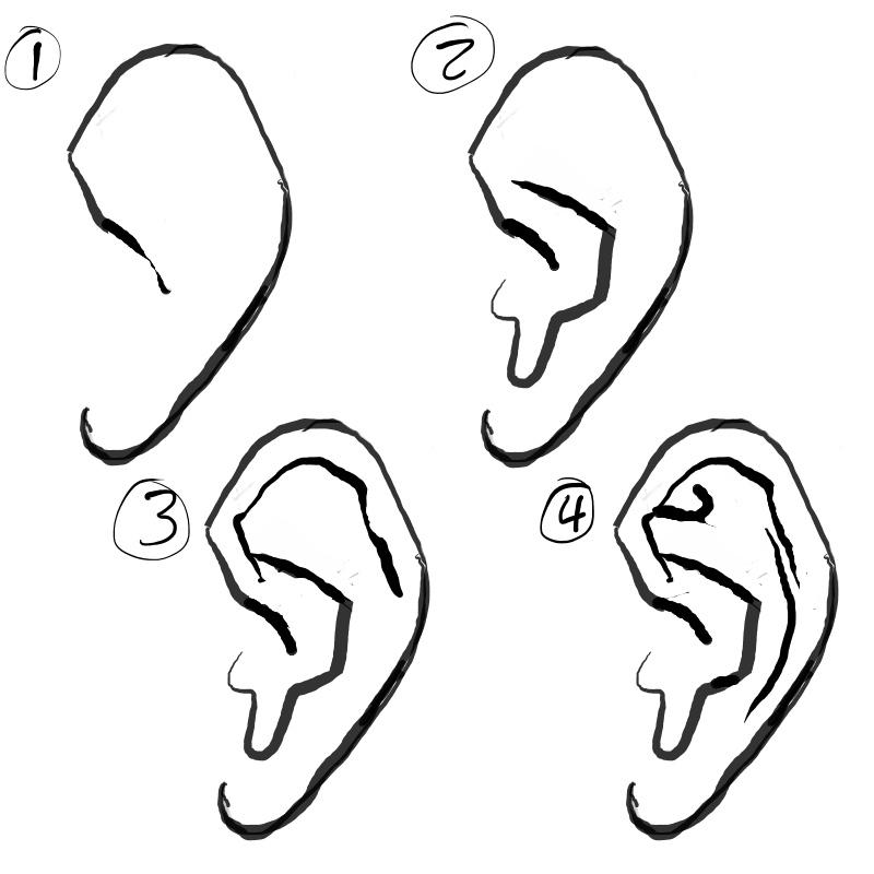 Уха поэтапно. Ухо нарисовать. Нарисовать ухо человека. Как рисовать уши. Рисунок уха.