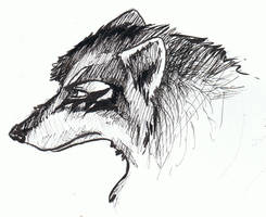 Kaijiak Senior Profile
