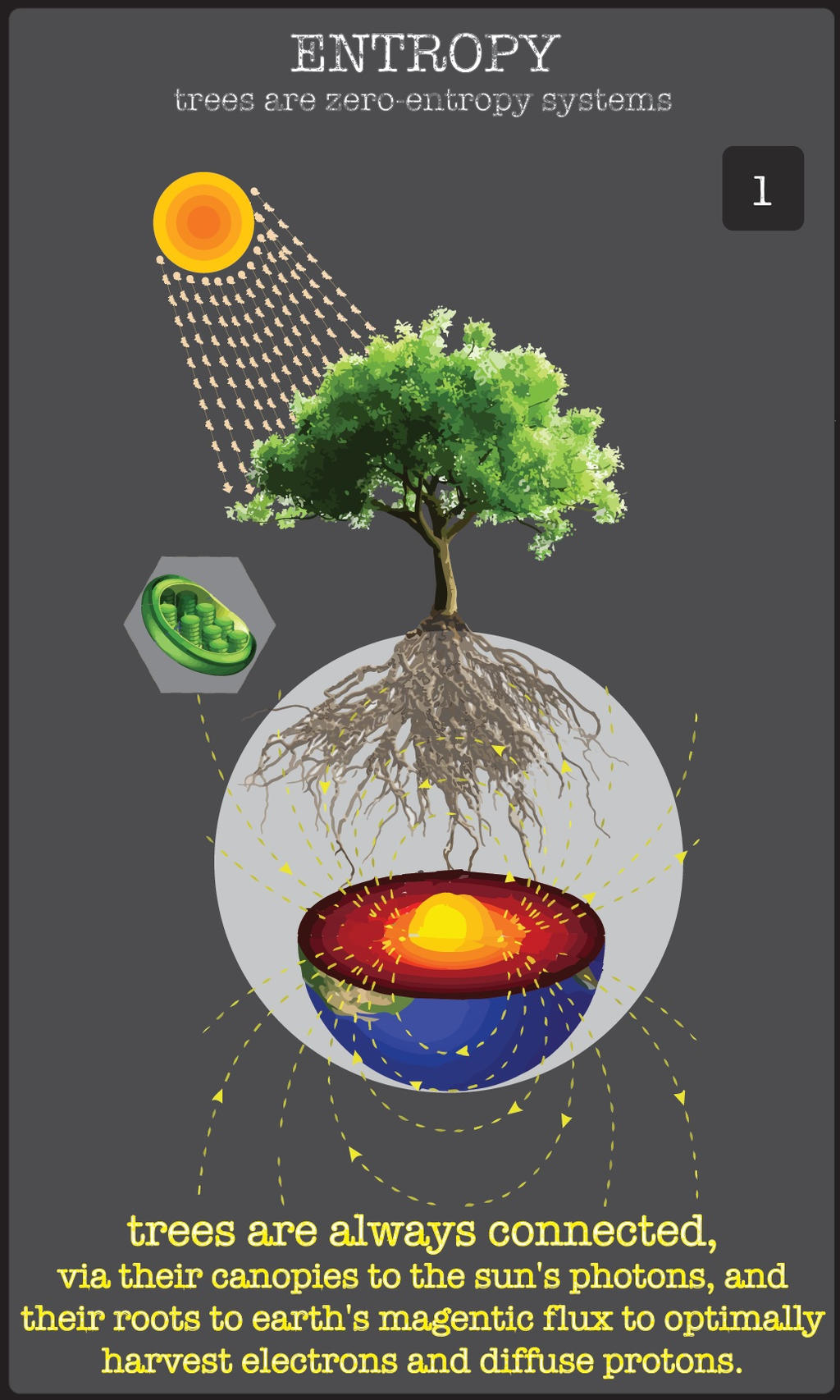 Entropy Infograph Entropy1 by loveyourmitochondria on DeviantArt