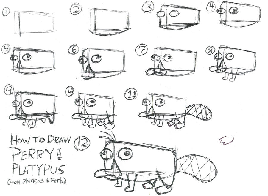 How To Draw Perry The Platypus By Superdog527 On Deviantart