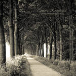 Wanderer's Secrets by TammyPhotography