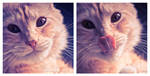 Yum, looking tasty by TammyPhotography
