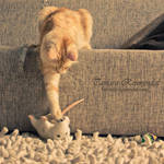 Game over mouse by TammyPhotography