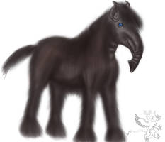 Morris, the Woolly Mammoth Horse: Morse