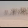 Mystic Morning Frozen Fog