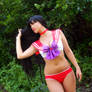 Sailor Mars Swimsuit