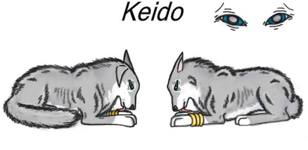 Keido- character sheet