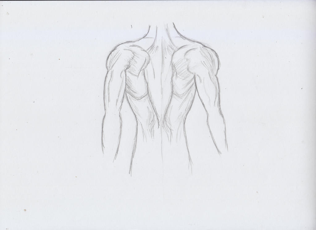 Back - Practice 2 by Dokhjor on DeviantArt
