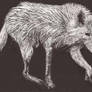 Scratch Art wolfy :D