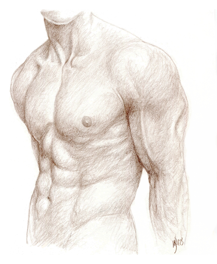 Male Figure Study