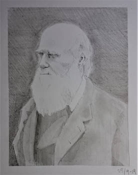 Charles Darwin (pencil)