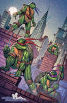 Teenage Mutant Ninja Turtles - NYCC