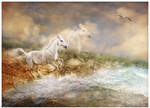 Kelpie returns to the Sea by GingerKellyStudio