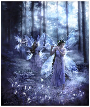 Night Fairy Song