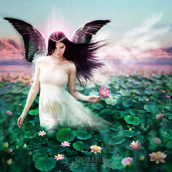 The Lotus Faerie