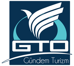 Business Logo for Travel Agency GTO