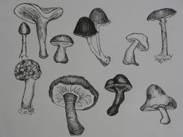 Mushrooms