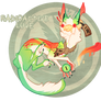 CCCat MYO