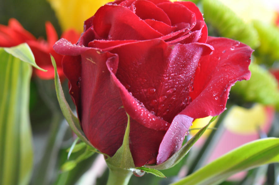 Red Rosesprite Image Red Rose by Red-Smurfette on DeviantArt