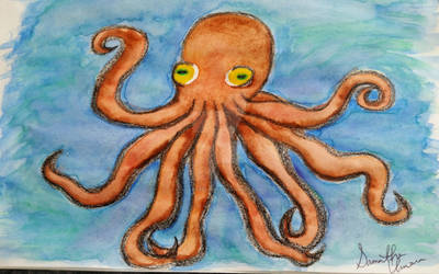 O is for Octopus