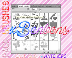 Pack Brushes 2Casi 1000 +Watchers