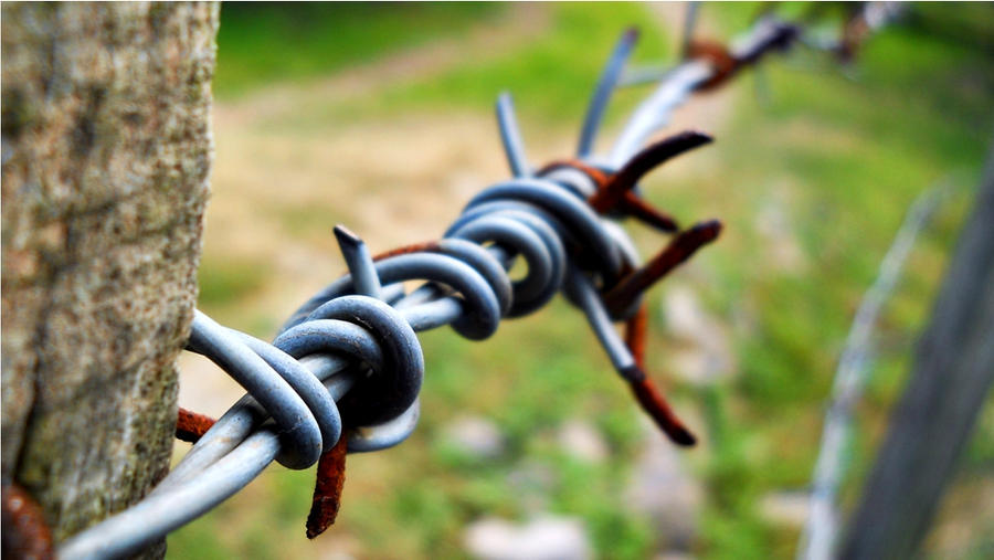 Barbed wire