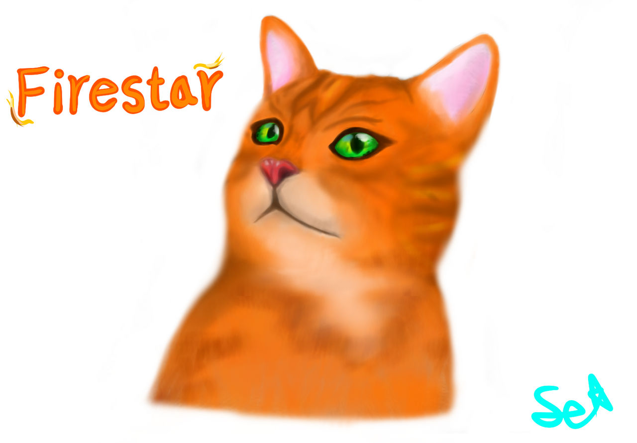 Firestar Smiling Firestar warriorcats by Sundialsy on DeviantArt