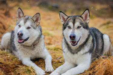 Alaskan sisters