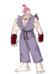 SF 30th Anniversary Tribute - SFII Gouki by kaiserkleylson