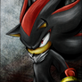 Shadow The Hedgehog