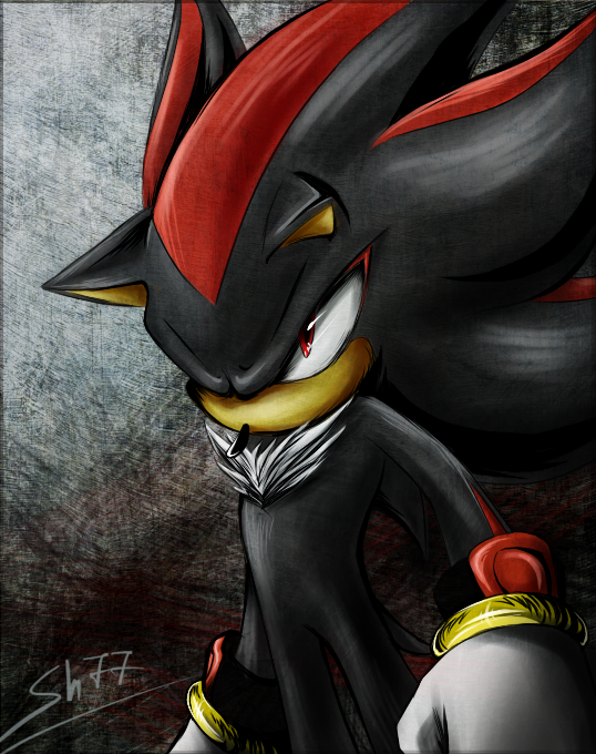 Shadow The Hedgehog