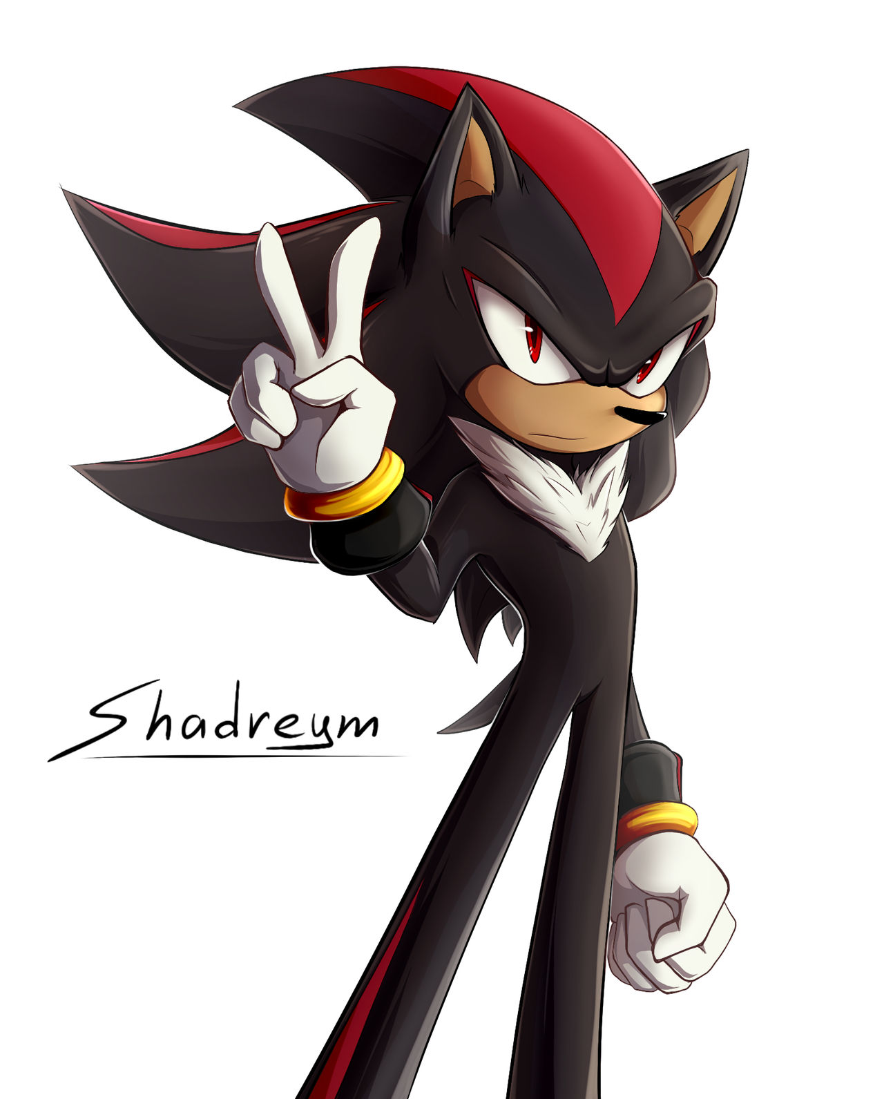 Shadow Project by Shadreym on DeviantArt