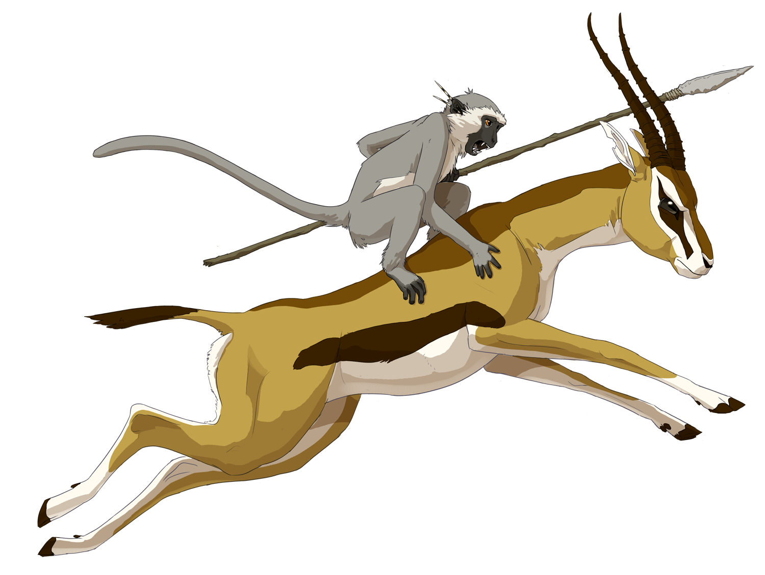 Gazelle Rider