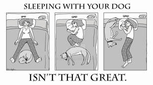 Sleeping With Your Dog...