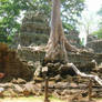 Cambodia- Angkor Heritage Site 27