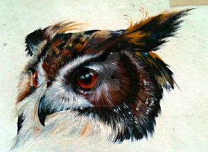 Owl by eleanor-tomlinson