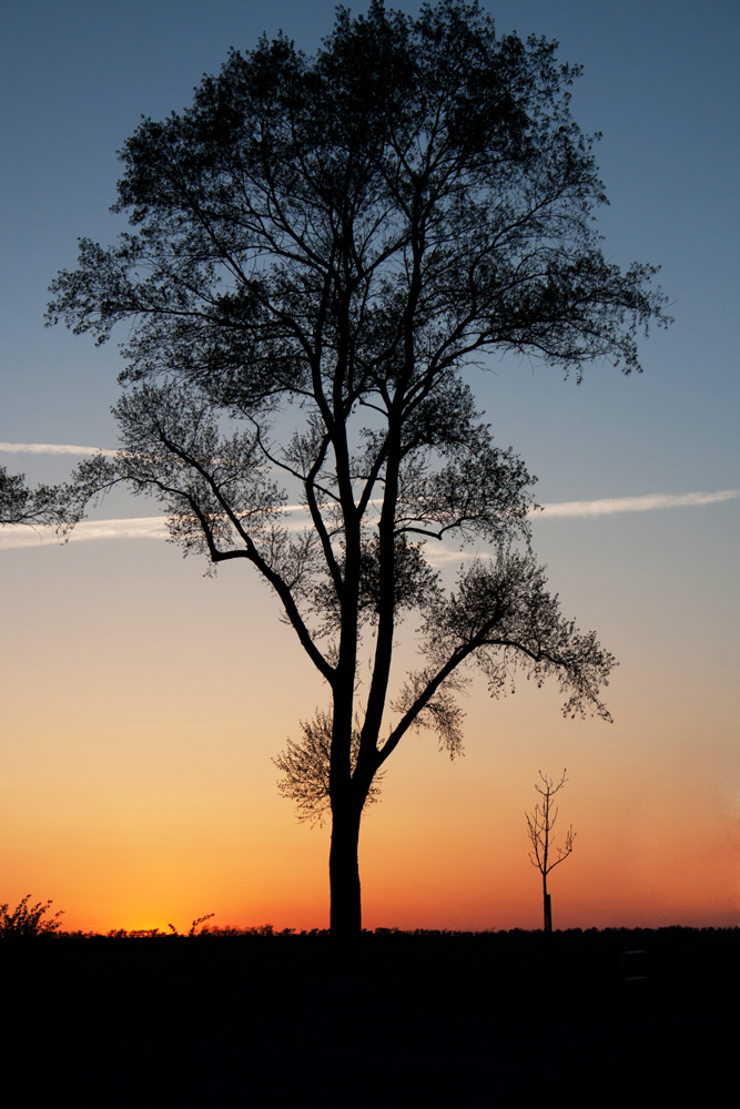 Sunset  Fehmarn